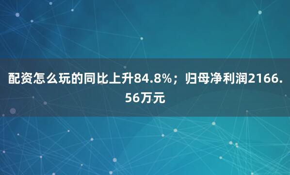 配资怎么玩的同比上升84.8%；归母净利润2166.56万元