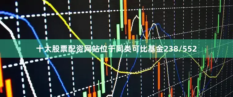 十大股票配资网站位于同类可比基金238/552