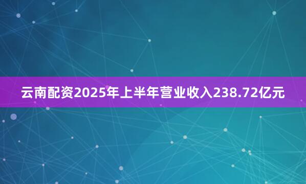 云南配资2025年上半年营业收入238.72亿元