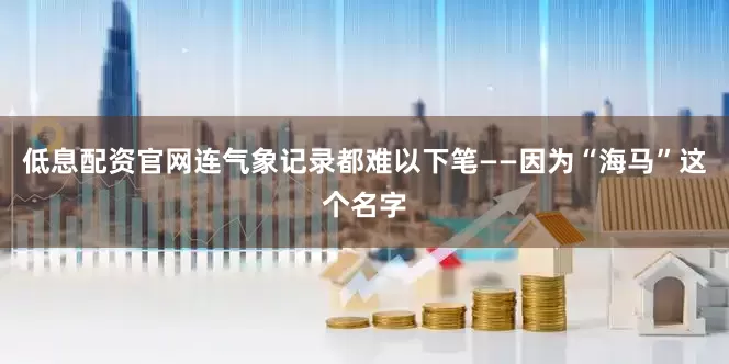 低息配资官网连气象记录都难以下笔——因为“海马”这个名字