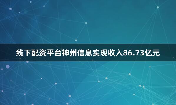 线下配资平台神州信息实现收入86.73亿元